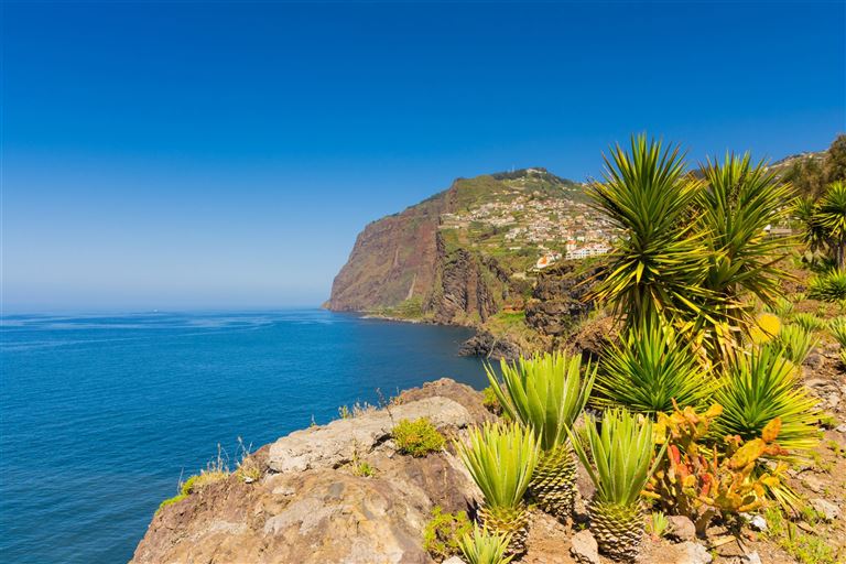 Madeira - Perle des Atlantiks @  boivinnicolas /adobestock